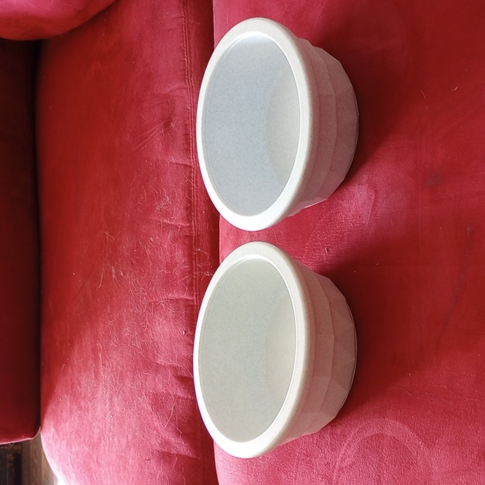 6 inch cat bowls (two)